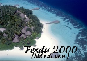 Fesdu 2000